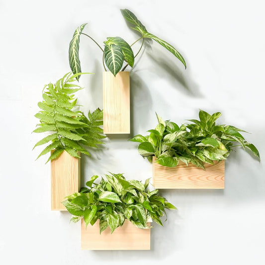 LaLaGreen Wooden Planter Box for Plants (4 Pack) Natural Wood Hanging Wall Planters for Indoor Plant Holder Vase for Dried Flowers, Modern Style Unique Living Room Bedroom Kitchen Home Office Decor