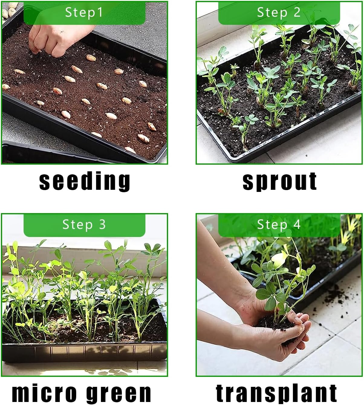 10 Pack 1020 Trays, Extra Thick Heavy Duty Seed Starting Trays - No Holes, No Leak, Reusable Propagation Flats for Microgreens, Seedlings, Plant Germination, Fodder and Transplant
