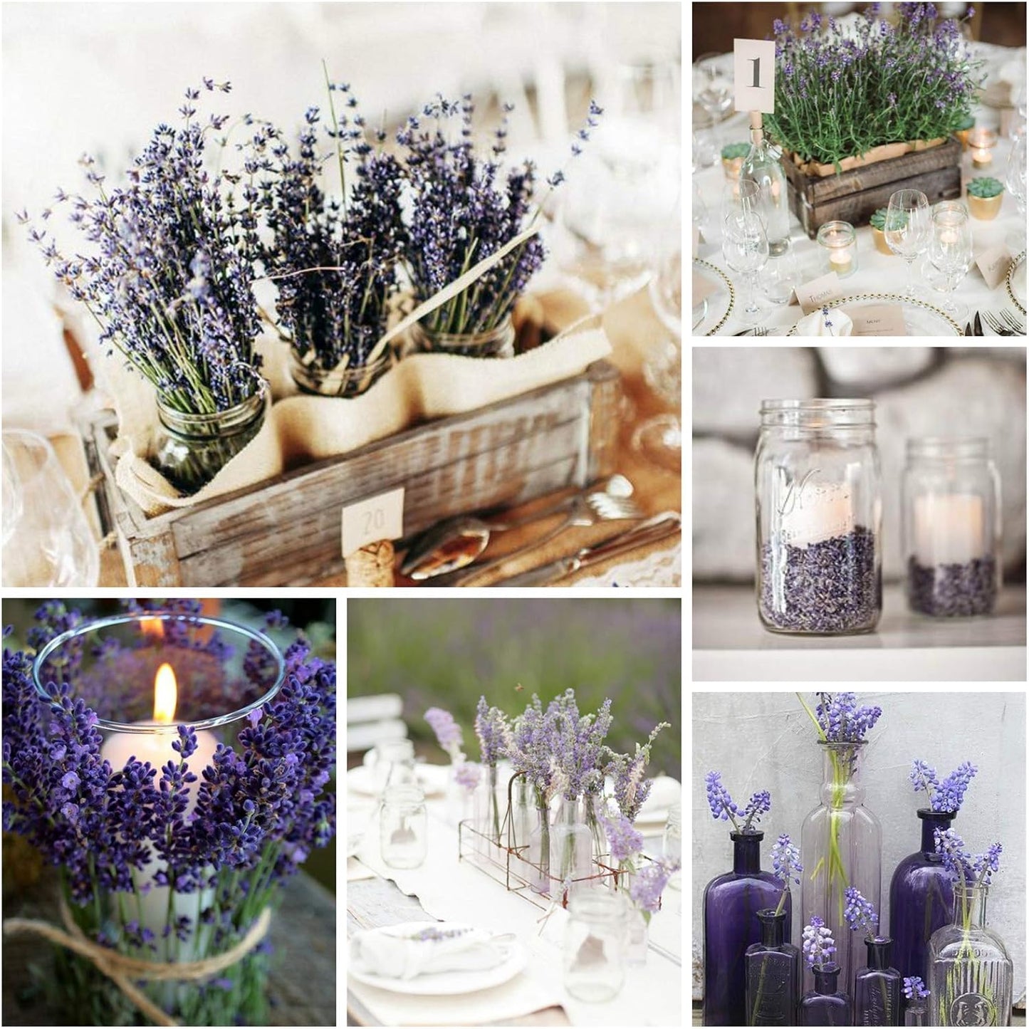 Cedar Space Lavender Dried Flowers 2 Bunches Dried Lavender Ideal Home Fragrance Products for Home Decorations, Wedding, Party, Photography & Flower Arrangements, Total Length 16 Inches
