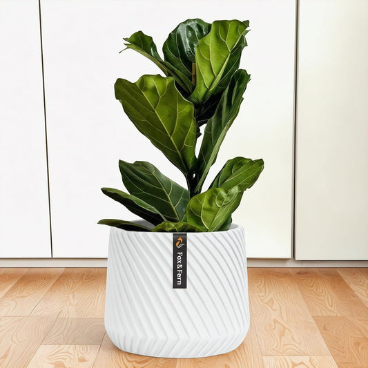 Fox & Fern Large 12 Inch Planter with Drainage Plug — Premium Polystone White Plant Pot; Modern Planter with 3D Texture and Ceramic Finish; 12 Inch Pots for Plants Indoor & Outdoor