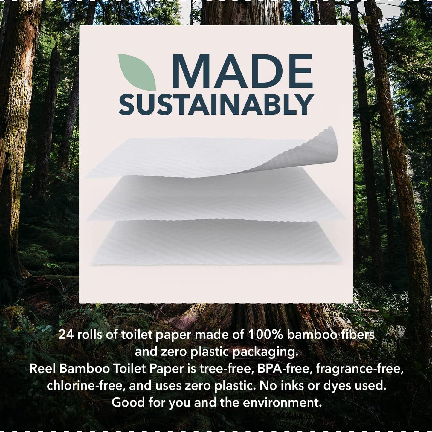 Reel Premium Toilet Paper - 12 Rolls of Toilet Paper - 3-Ply Made from Tree-Free - Zero Plastic Packaging, Septic Safe