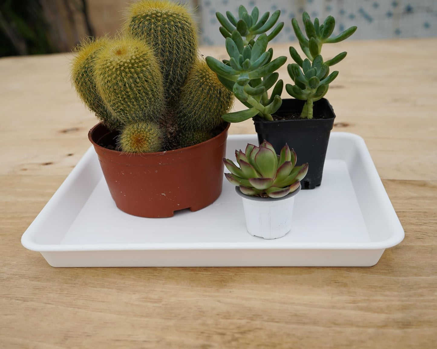 Rectangle Plant Tray, Plant Drip Tray, Plant Pot Saucers, Plant Germination Trays, Plant Saucers, 14.5'' x 11'' x 1.5'' (2 pack), Creamy White