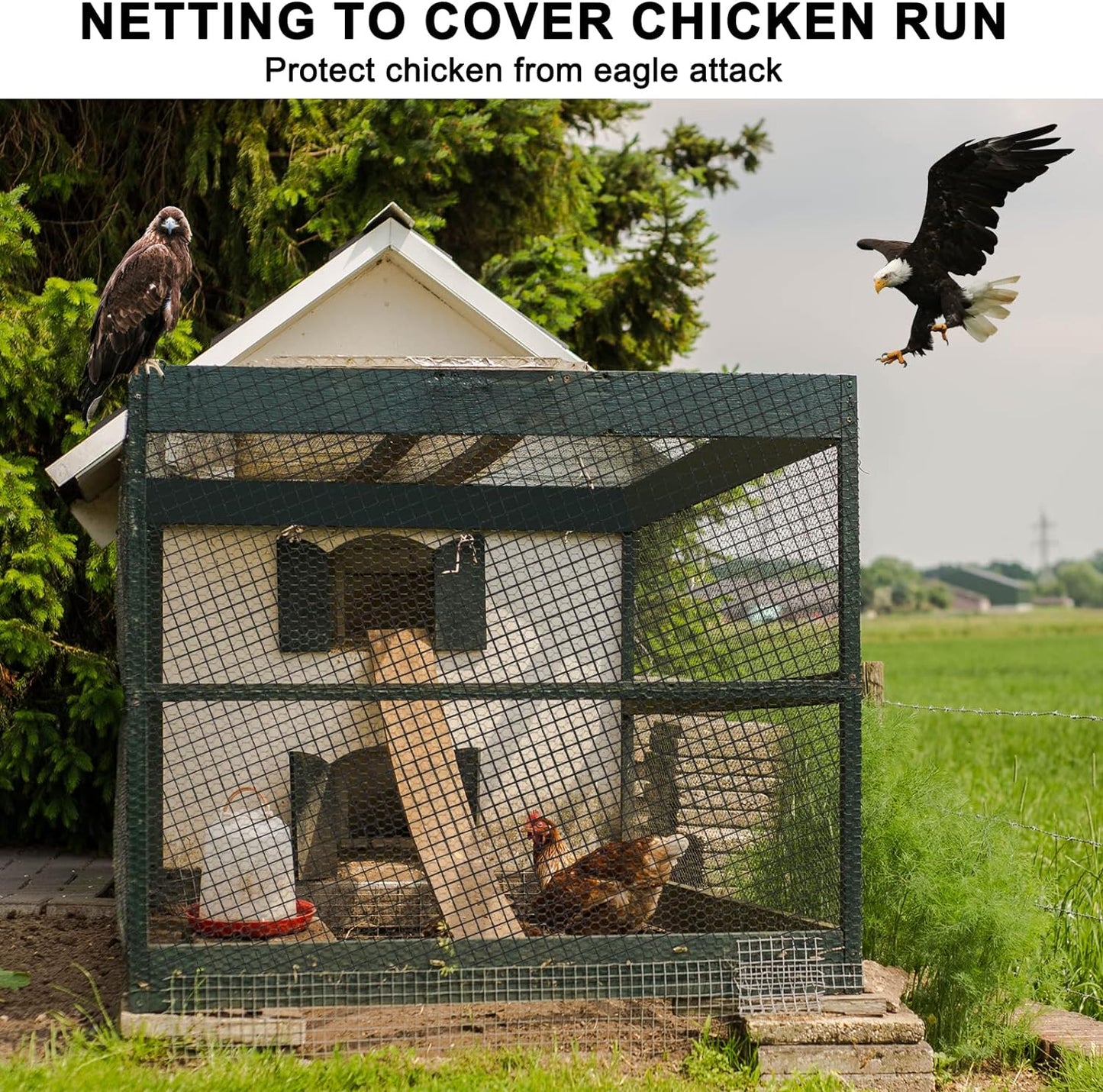 Bird Netting 25'x100' with 3/4" Mesh Nylon Chicken Net Roof Hawk,Poultry Netting for Chicken Run, Aviary Nettings Deer Fence Trellis Net