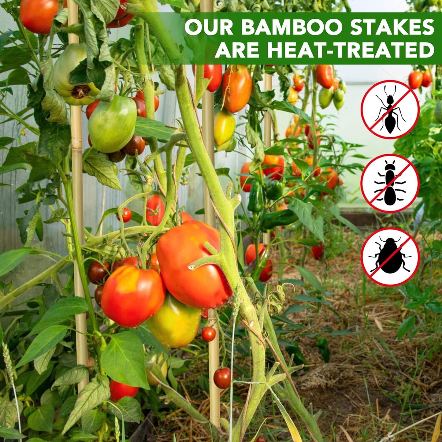 60Pcs Bamboo Stakes for Plant 5 Feet(57.5 inch), Garden Bamboo Plant Stakes for Plants Support, Climbing Plants, Tomatoes, Sunflowers, Beans, Potted Plants, Trees