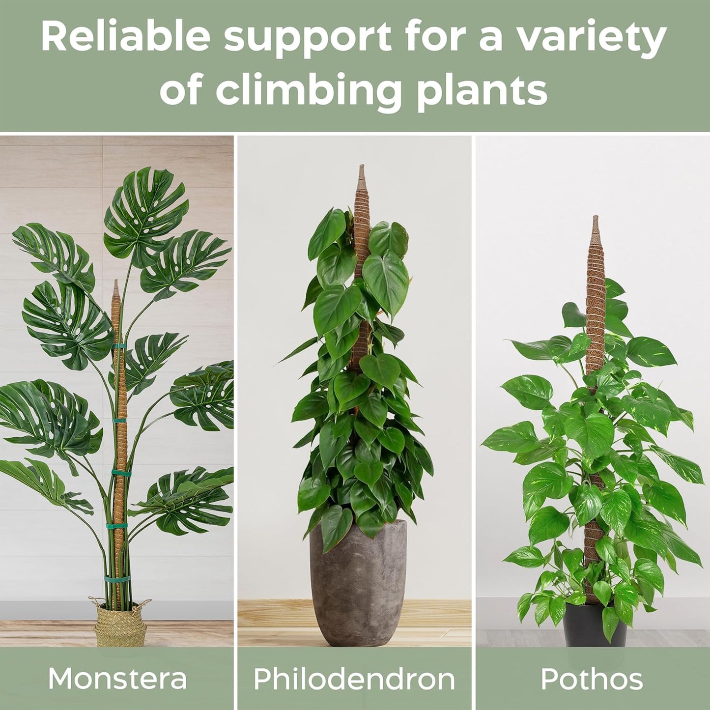 63'' Bendable Moss Pole Monstera Plant Support for Large Climbing Indoor Plants - Stakes for Potted Climbers - Tall Sticks Indoor Trellis for Houseplants - Accessories for Monstera Pot