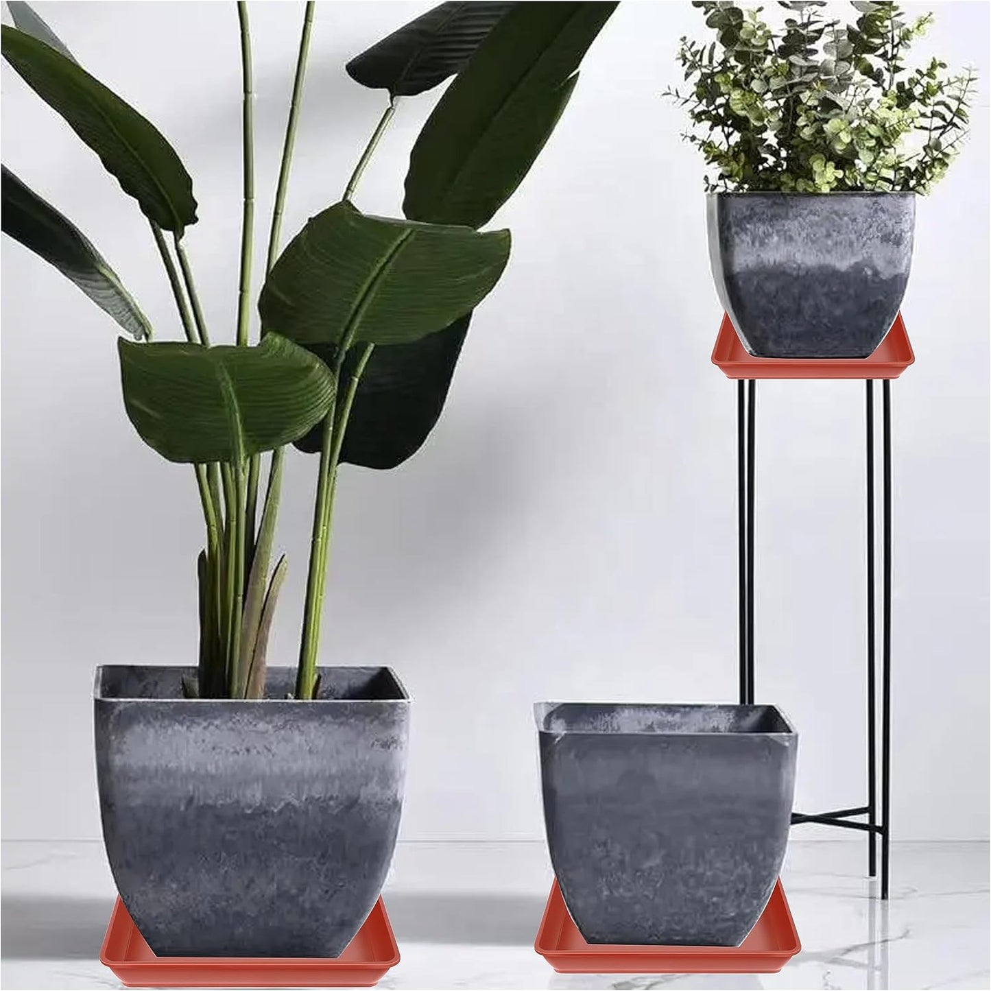 5 Pack Square Plant Saucer, Plastic Plant Water Dray Tray 6 Inch, Heavy Plant Trays for Pots, Planters for for Pots Base Indoors and Outdoors Plants.(6 inch, Terracotta