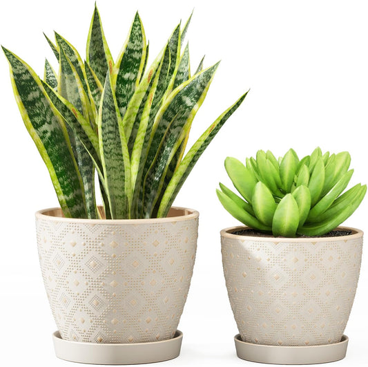 Docrin Ceramic Plant Pots Indoor, 6.6 + 5.5 Inch Planters with Drainage Holes and Saucer for Home/Office - Set of 2 /White