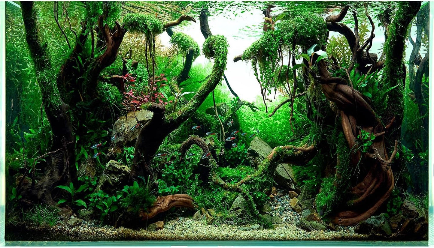 Fish Tank Background Underwater Pebble Grass Leaves Aquarium Background Vivid Fresh Green Aquatic Plant Stone River Bed Terrarium Background Deadwood Purple Leaves Tank Background 48x24in