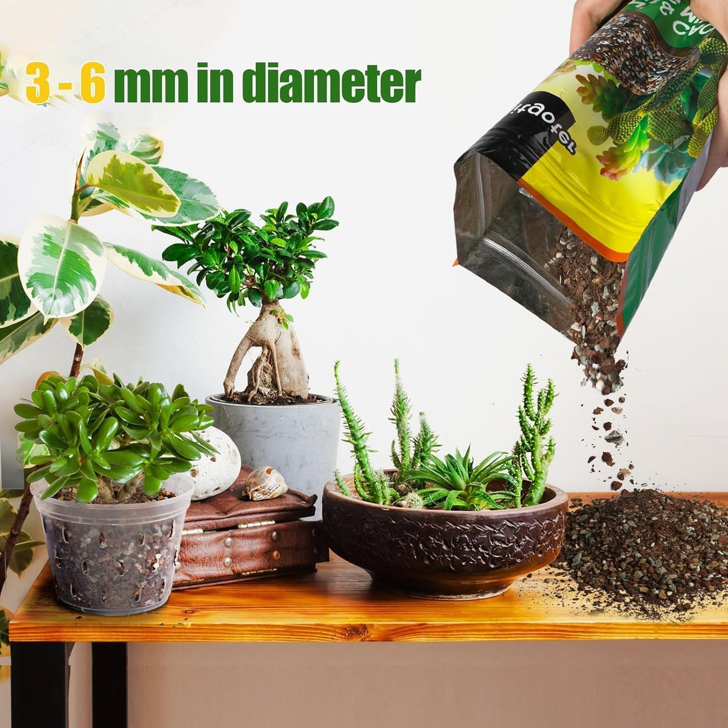 Succulent & Cactus Soil Potting Mix 1qt, Natural Organic Potting Mix for Cactus, Succulent, Palm, and Citrus Grown in Containers Indoors and Outdoors