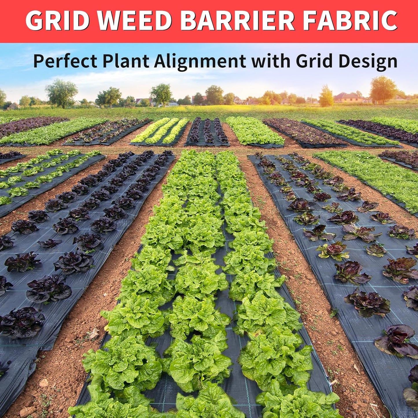 4ft x 100ft Landscape Fabric -Heavy Duty Weed Barrier Fabric for Landscaping, Weed Blocker Cloth,Geotextile Fabric for Garden, Driveway & Ground Cover, Garden Weed Mats,Grid Design