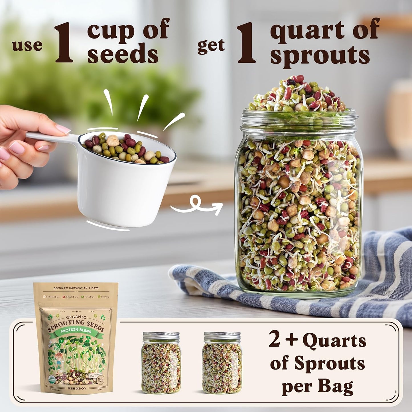 Seedboy Organic Sprouting Seeds Variety Pack - Two 8oz Bag Bundle - Superfood & Protein Blends, Non-GMO, USA-Grown Microgreens Mix, Makes 12 Quarts of Sprouts (36 Servings) (Superfood/Protein)