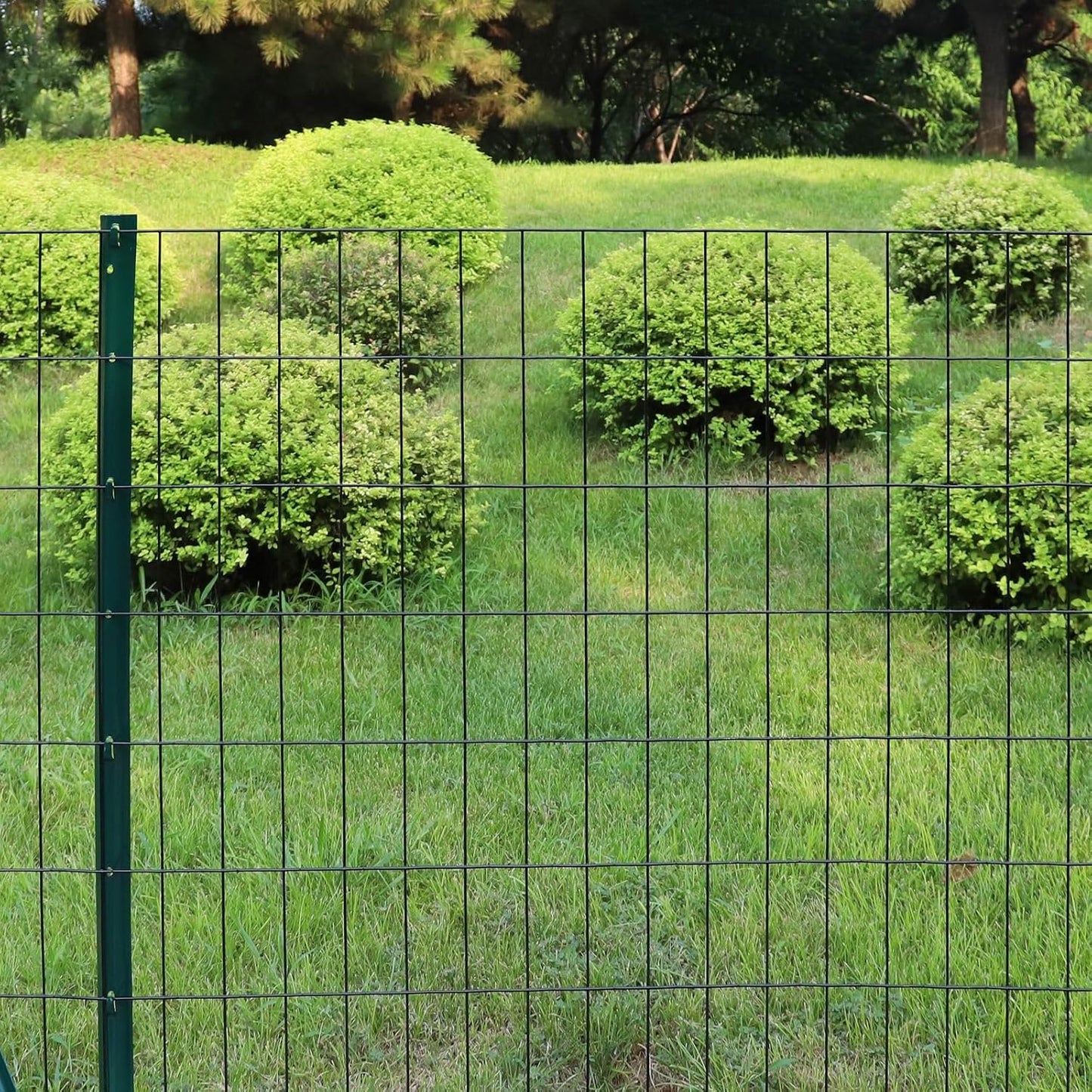 Black PVC Coated Welded Wire Fence 36 Inch x 50 Foot, 2 Inch x 4 Inch 14GA, Garden Border Fencing Roll Vinyl Coating Metal Wire Mesh Hardware Cloth for Yard Vegetable Plant Protection