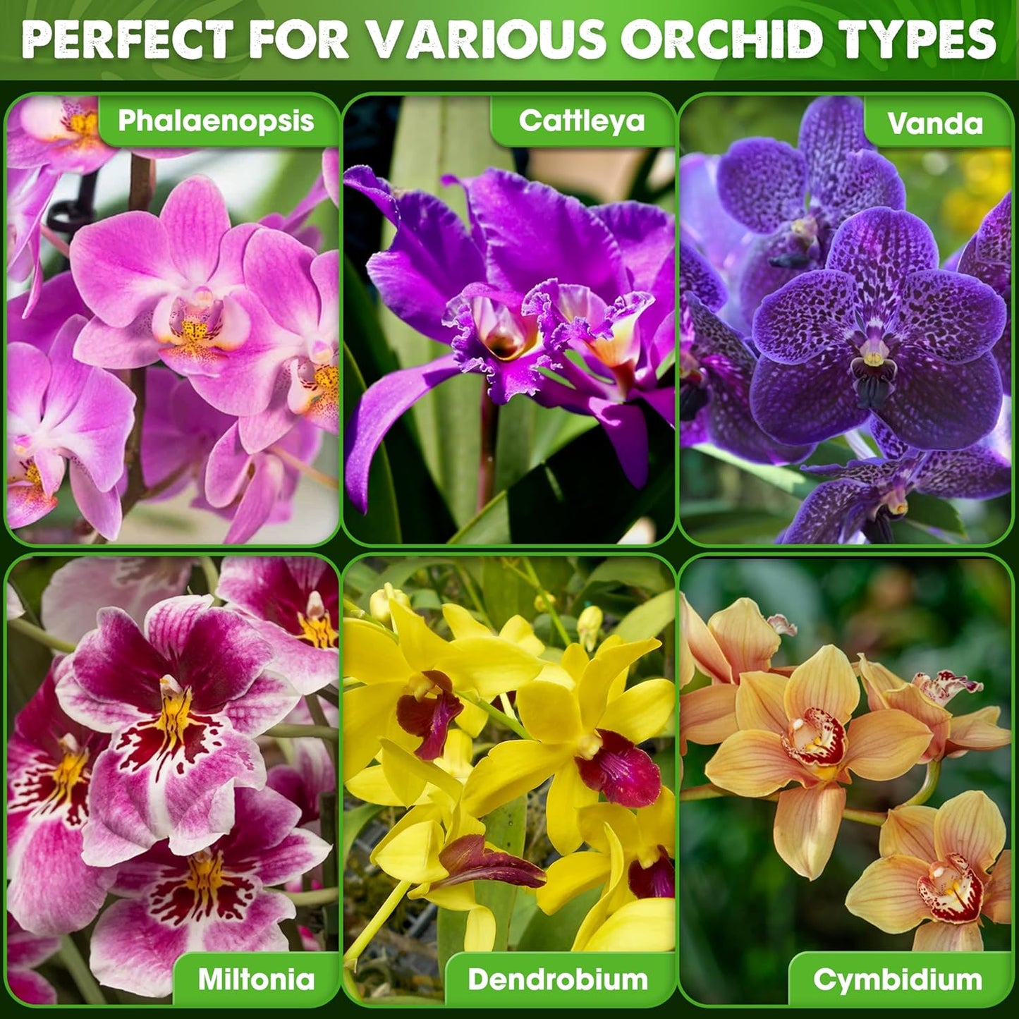 [Upgraded] DUSPRO Orchid Potting Mix for Repotting with Forest Moss, Pine Bark, Perlite & Pumice, Orchid Bark Potting Mix,Orchid Repotting Soil, Drainage Indoor Potting, Orchid Pot Not Included, 4 QT