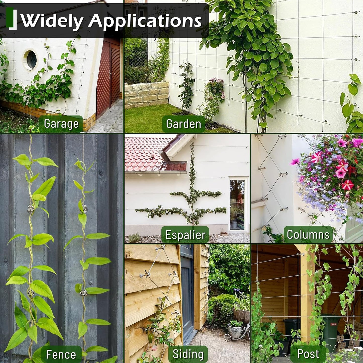 Wire Trellis for Climbing Plants Outdoor, 12 pcs Wall Wire Trellis Kit, T316 Stainless Steel Wall Trellis Kit Espalier Cable Trellis System (Hubs Only, Without Cable)