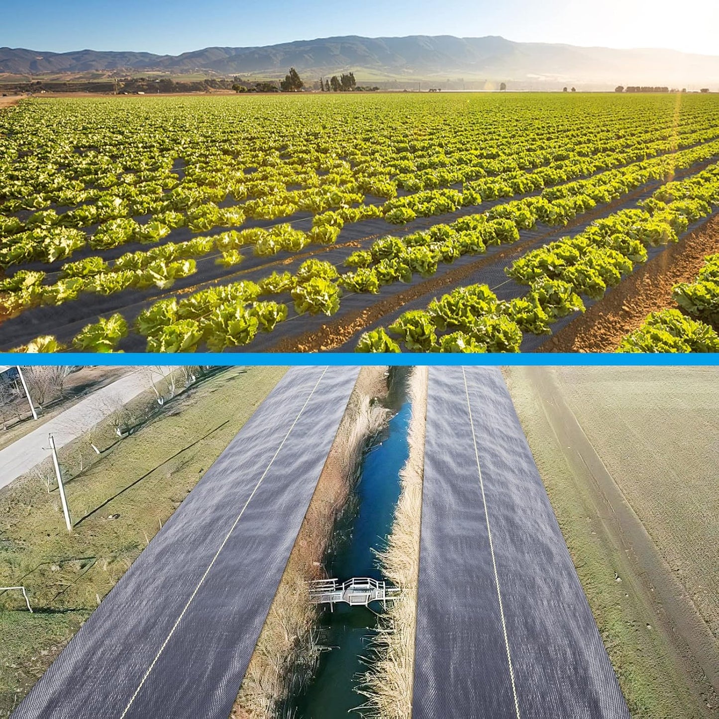 4ft x50ft Black Weed Barrier Landscape Premium Fabric-Heavy Duty Woven Ground Cloth with Superior Permeability Weed Control Convenient Design