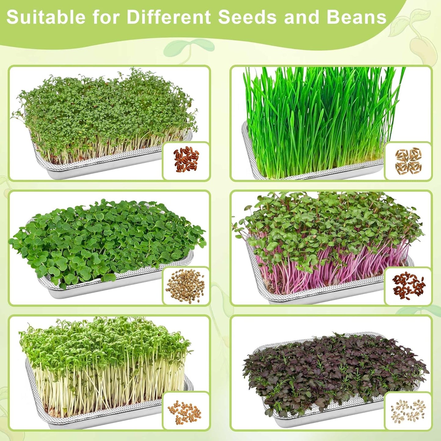 Stainless Steel Sprouts Growing Kit 2-Tier 12.4 inch Trays, Microgreens Growing Kit, Seed Sprouting Tray with Encrypted Mesh Sprouts for Beans Alfalfa Broccoli Wheat Grass