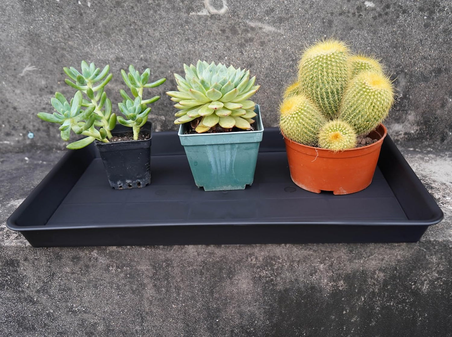 2 Pack Plant Saucer Tray Rectangular, Plant Growing Nursery Trays, Heavy Sturdy Seed Starting Trays, Plants Starter Saucers for Indoors No Holes, Seed Starter Growing Tray (17.5"x10.6", Black)