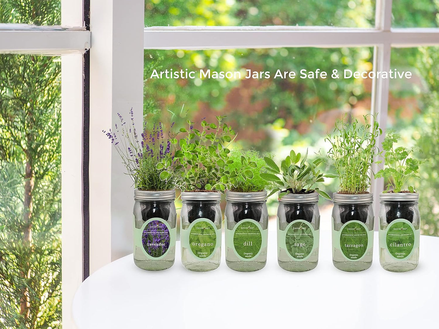 Hydroponic Herb Growing Kit, Self-Watering Mason Jar Herb Garden Starter Kit Indoor, Windowsill Herb Garden, Grow Your Own Herbs from Organic Seeds (Tarragon)