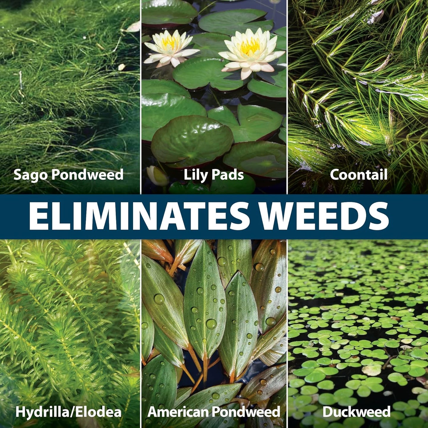 Airmax Wipeout Pond Weed Defense, Herbicide & Aquatic Weed Control, Controls Duckweed & Other Unwanted Submerged & Floating Vegetation, Easy-to-Use & Long Lasting, All-Season Treatment - 4 Ounce