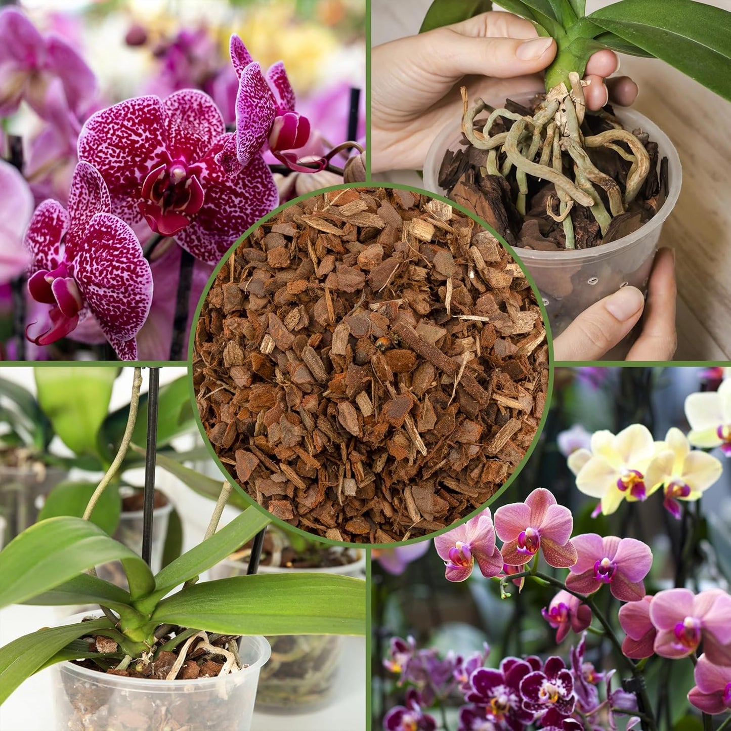 100% Organic Orchid Potting Bark (8 Quarts), All-Natural USA-Sourced Pine Bark Orchid Mix Additive