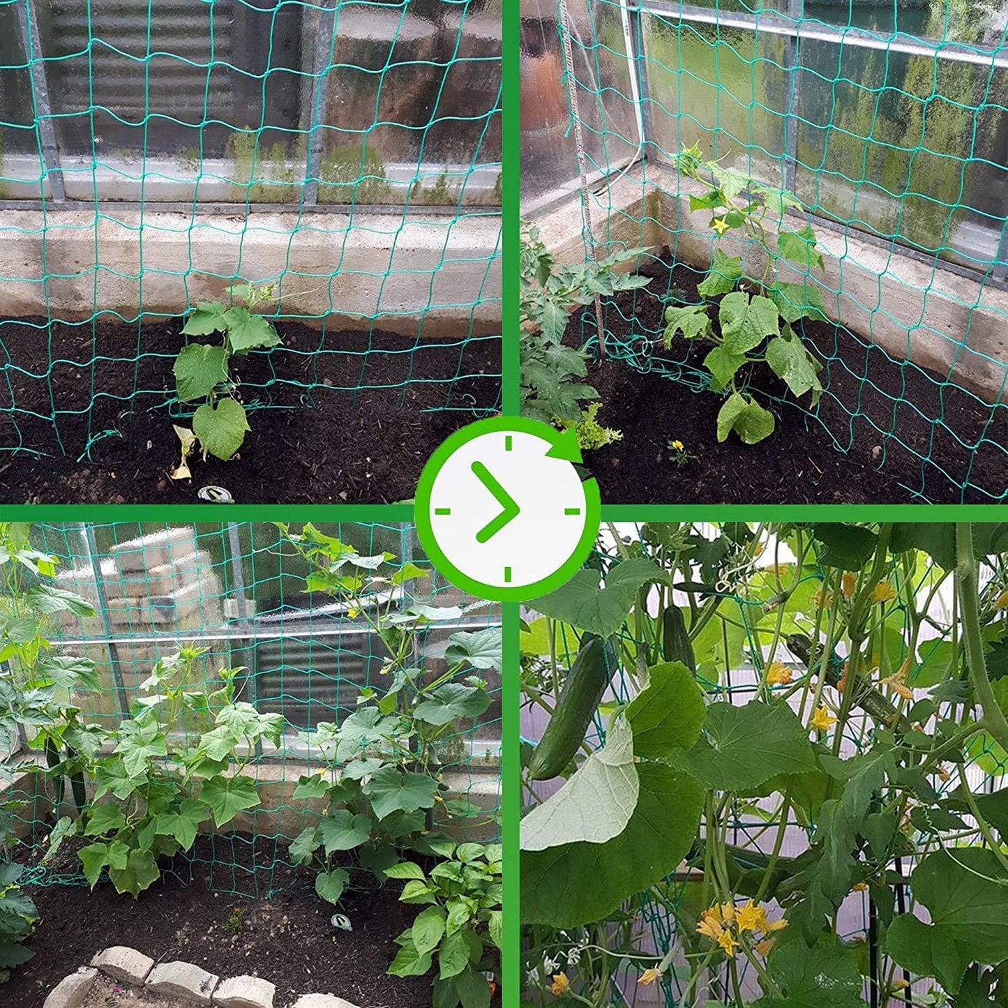 Trellis Netting for Climbing Plants - Heavy Duty Garden Trellis Netting for Cucumber, Vine, Fruits & Vegetables Tomato Plants Trellis Net, Climbing Vining Plants (1-Pack 16.4' x 6.6'Ft)