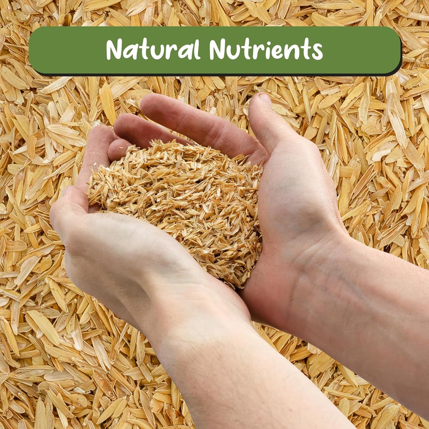 Organic Horticultural Grade Rice Hulls (2 Quarts); All-Natural Soil Amendment for Houseplants, Gardening, Seed Starting & Chicken Bedding