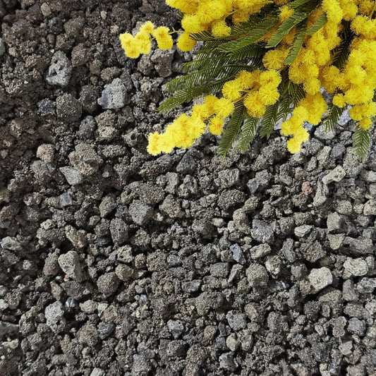 Lava Rocks for Plants (3/8’’ Minus), Natural Black Lava Rocks, Succulent & Terrarium Horticultural Volcanic Rock, Ideal Drainage for Potted Plants, Made in USA (5 qts - 9 lbs)