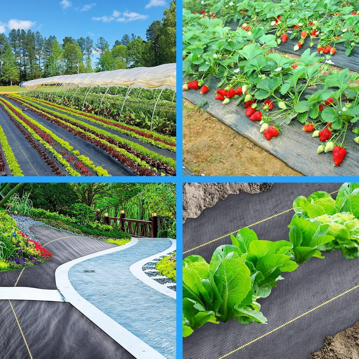4ft x50ft Black Weed Barrier Landscape Premium Fabric-Heavy Duty Woven Ground Cloth with Superior Permeability Weed Control Convenient Design