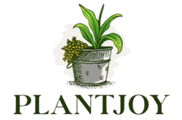 PlantJoy